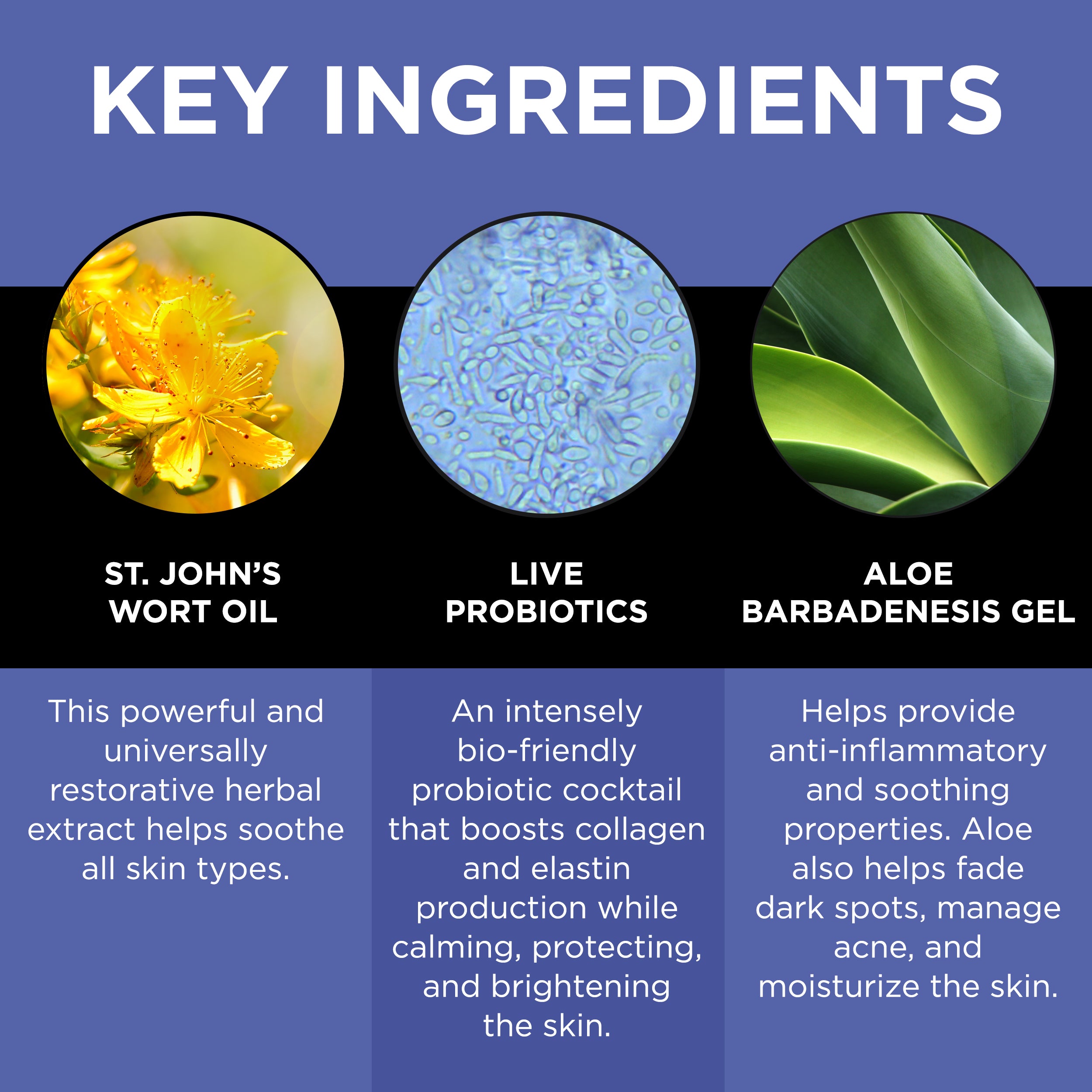 Live P.S. - Recover Live Probiotic Serum
