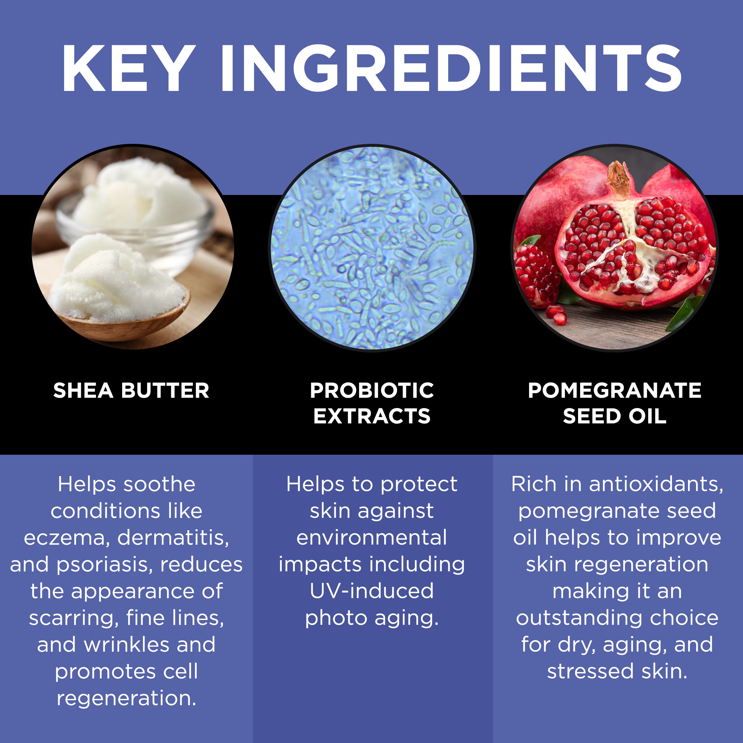 shea butter skin care | probiotic extracts | pomegranate skin care